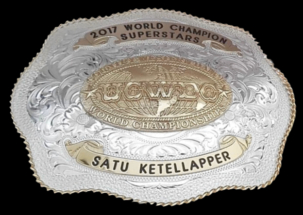 2017 Worlds - Superstars - Satu Ketellapper